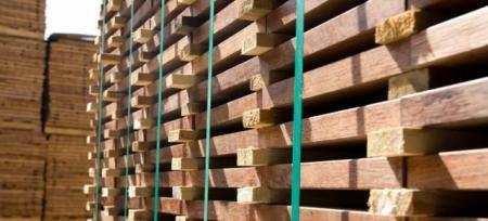 Вартість деревини: актуальні ціни та особливості торгів в Україні